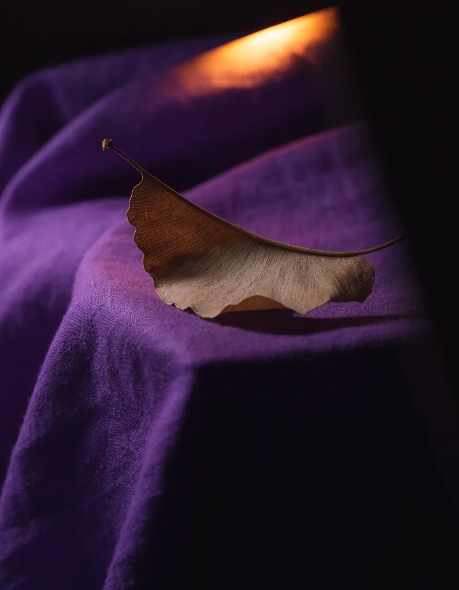 Getrocknetes Ginkgoblatt auf violettem Leinentuch im warmen Licht